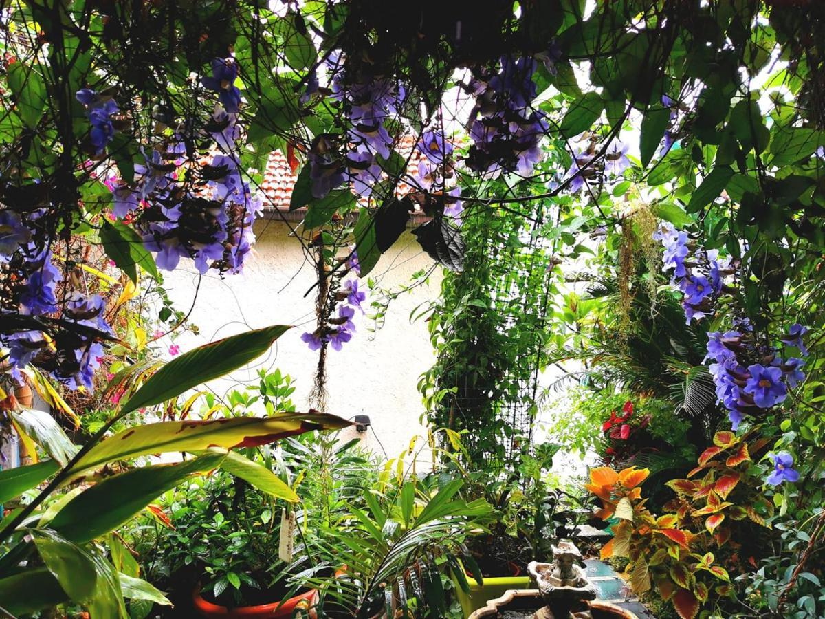 Romantic Casa Lorenzina Affittacamere Ventimiglia Ngoại thất bức ảnh