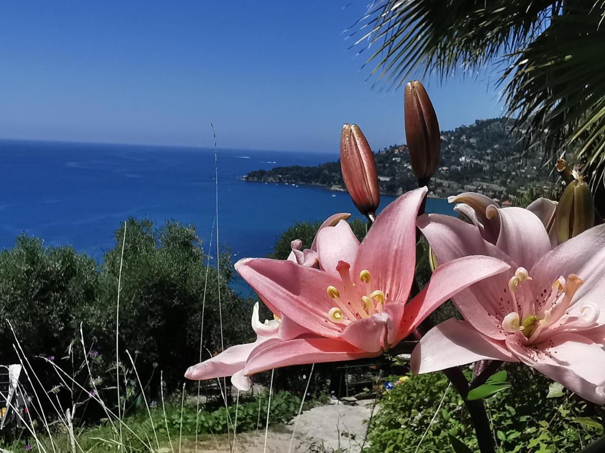 Romantic Casa Lorenzina Affittacamere Ventimiglia Ngoại thất bức ảnh