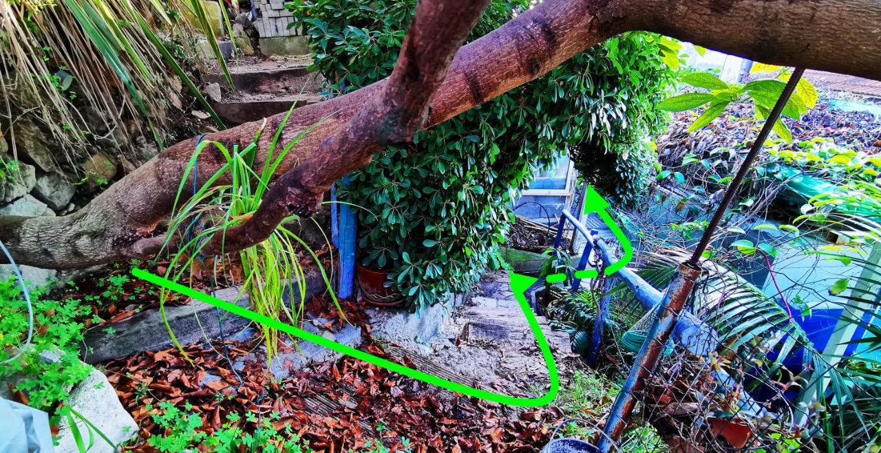 Romantic Casa Lorenzina Affittacamere Ventimiglia Ngoại thất bức ảnh