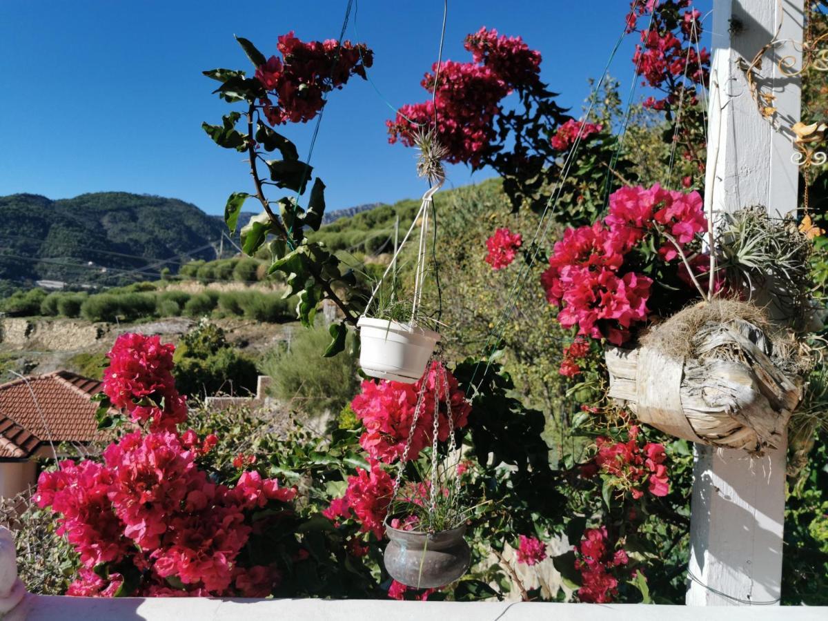 Romantic Casa Lorenzina Affittacamere Ventimiglia Ngoại thất bức ảnh